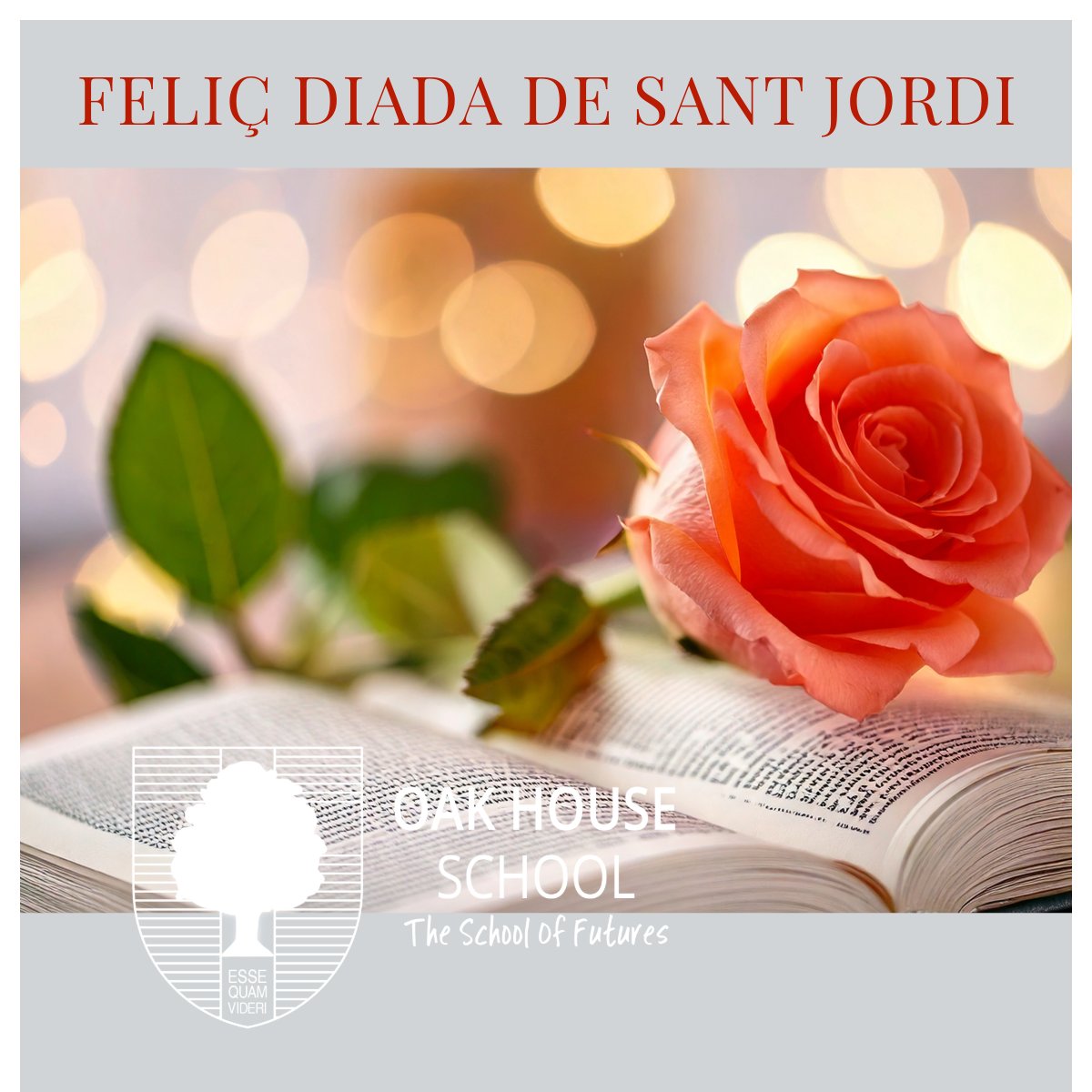 Feliç Diada de Sant Jordi! 🌹📚
Today, our school and the streets of Catalunya are filled with the magic of roses and books. It's a beautiful Catalan tradition celebrating love and literature all at once. Hope your day is filled with both! ❤️📖
#SantJordi2025 #Catalunya