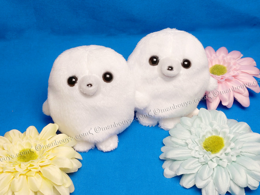 明日4月24日正午（昼12時）より。ミニビーンズあざらしのご注文受付を開始出来ることになりました。セット商品も含め、総数でおひとり様6点まででお願いいたします。まんぼう屋ドットコム 本店URL　manbouya.com/?mode=srh&sort…