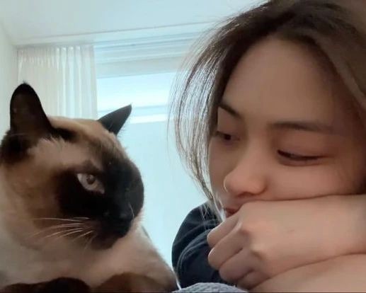 WavesRYUJINS's tweet photo. Kucing https://t.co/uu0B0Y4zAT