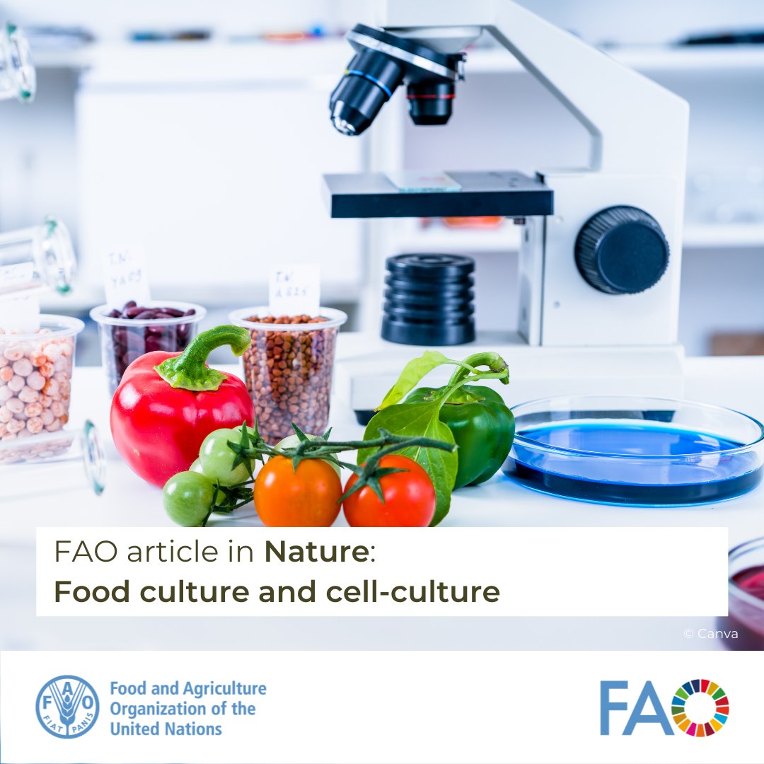 📝 | Can we produce meat without animals or milk without cows❓ Technologies like cell-based food production offer solutions to meet rising protein demands sustainably.

👉 Learn more in a 🆕 article by <a href="/FAO/">Food and Agriculture Organization</a> authors &amp; collaborators published in <a href="/Nature/">nature</a>

➡️tinyurl.com/mvp5n8wz