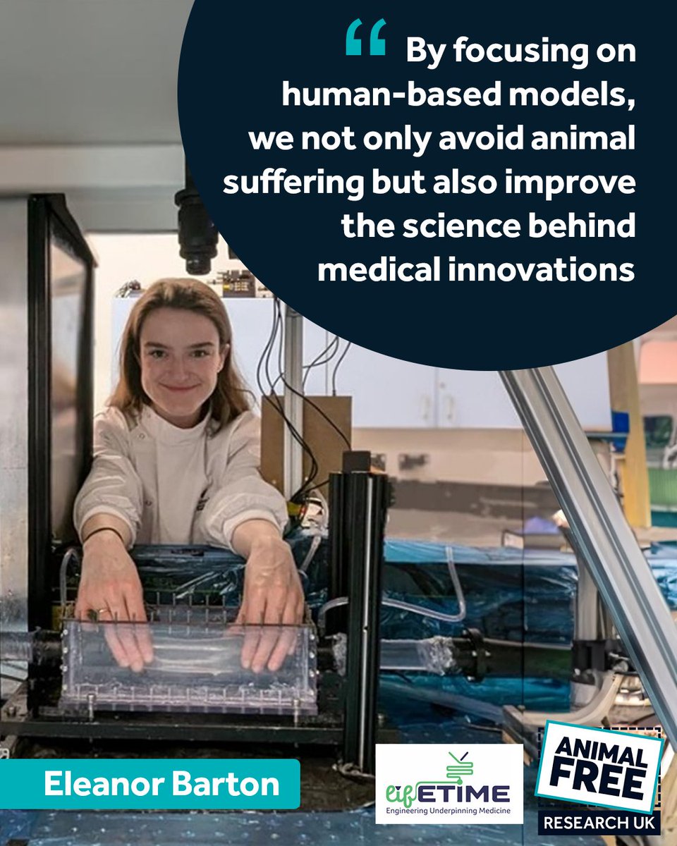 <a href="/EleanorPFBarton/">Eleanor</a>, a lifETIME CDT student, is working on an exciting project to improve heart health, without using animals.

She’s building a model of the human aorta, the body’s largest blood vessel, to test life-saving medical devices.

Read more - animalfreeresearchuk.org/lifetime-cdt