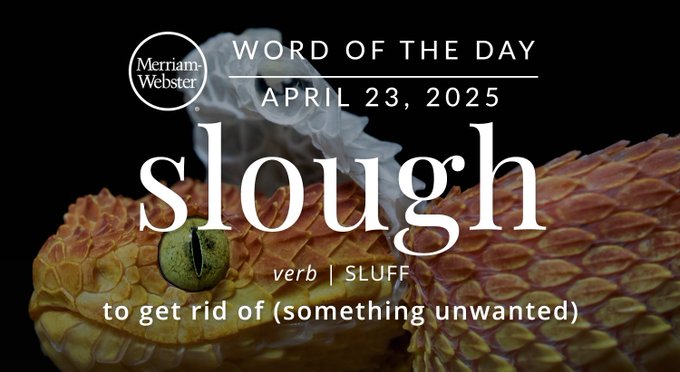 Merriam-Webster Word of the Day April 23, 2025 'slough' verb | SLUFF "to get rid of (something unwanted) Background Image: A snake shedding its skin