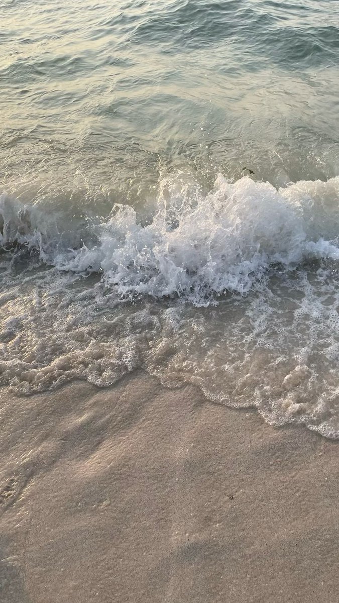- iki kalp, ilk adımlar, gururuna karşı açtığın her savaş.. aşk yalnızca cesurların işiydi. oysa ben hiçbir zaman gururundan vazgeçmeyen bir korkaktım.