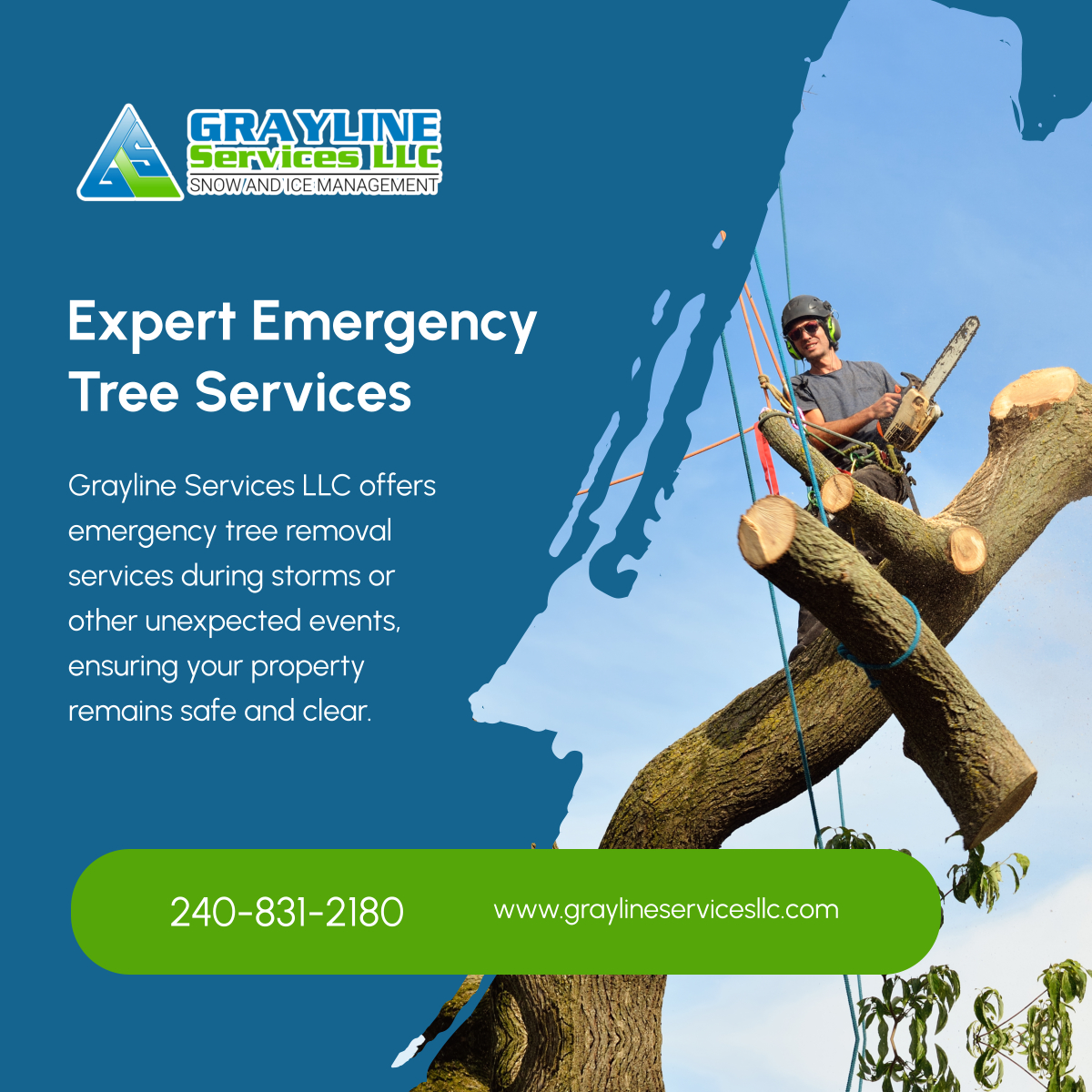 Graylinesvcs's tweet image. Don’t wait until it’s too late—our emergency tree services help you deal with fallen trees quickly and safely. Call us anytime for immediate assistance. 

#CollegeParkMD #LandClearingService #EmergencyTreeRemoval