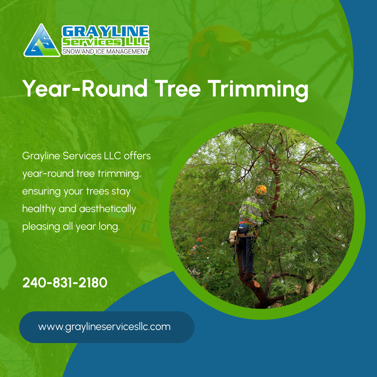 Graylinesvcs's tweet image. Keep your trees looking their best with our year-round tree trimming services. Schedule a consultation today to maintain healthy, beautiful trees. 

#CollegeParkMD #LandClearingService #TreeTrimming