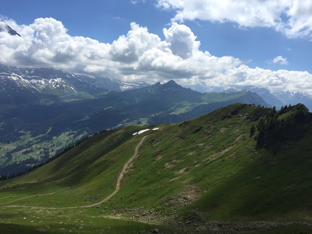 karenmcamp's tweet image. #Meandering in the Swiss alps #DailyPictureTheme