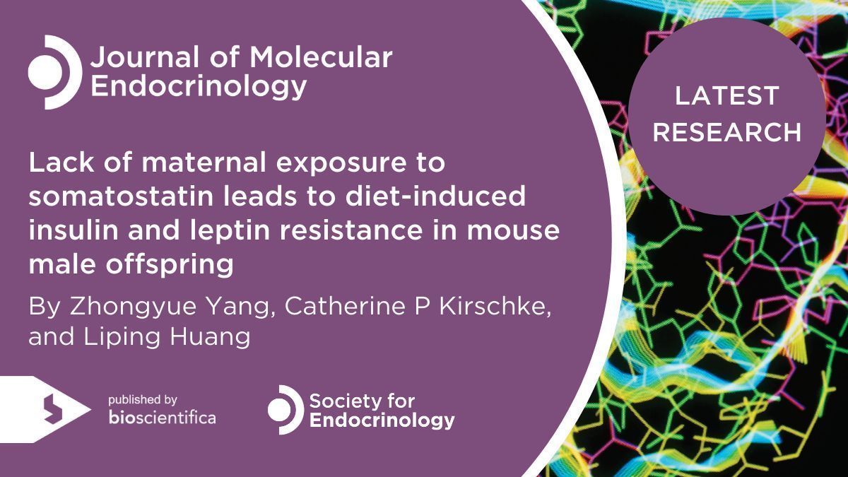 Journal of Molecular Endocrinology (@jmolendo) on Twitter photo Findings by Zhongyue Yang <a href="/ucdnutrition/">UC Davis Nutrition</a> et al. suggest that a lack of #somatostatin exposure in the uterus may impair islet development in the pancreas in mice, resulting in predisposition to diet-induced #obesity and #insulin resistance. Learn more ➡️ buff.ly/Ygh8GOH Findings by Zhongyue Yang <a href="/ucdnutrition/">UC Davis Nutrition</a> et al. suggest that a lack of #somatostatin exposure in the uterus may impair islet development in the pancreas in mice, resulting in predisposition to diet-induced #obesity and #insulin resistance. Learn more ➡️ buff.ly/Ygh8GOH