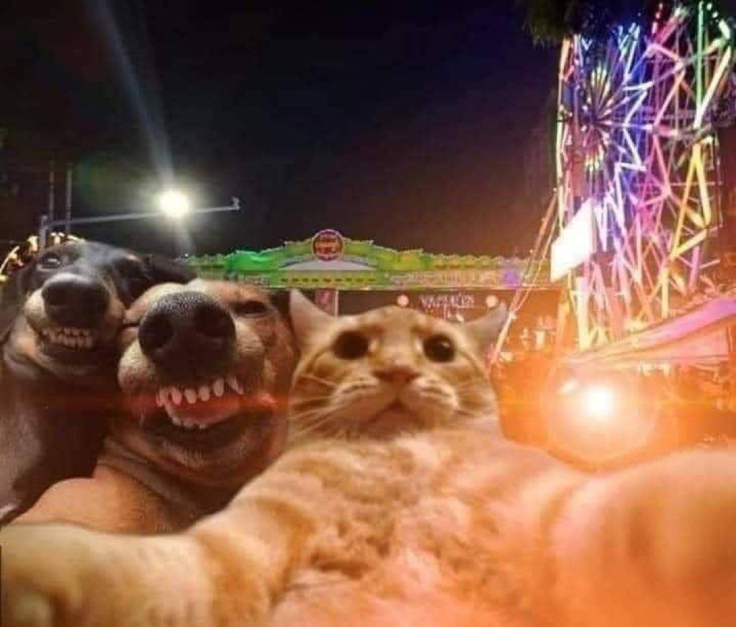 my friends and I when we go out: