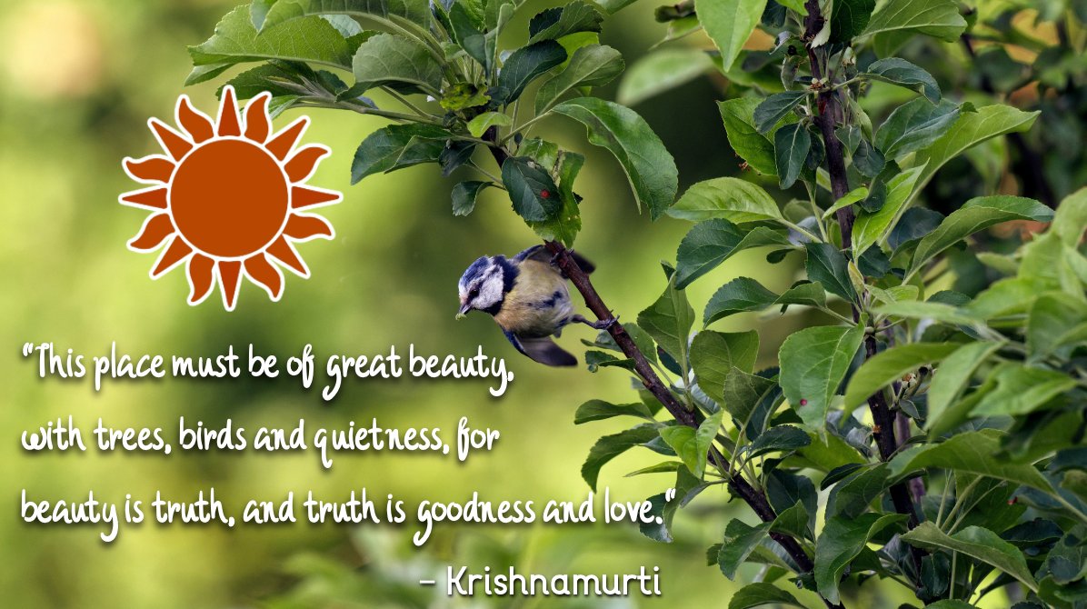 Sunshine Health Shop (@sunshineest1927) on Twitter photo 