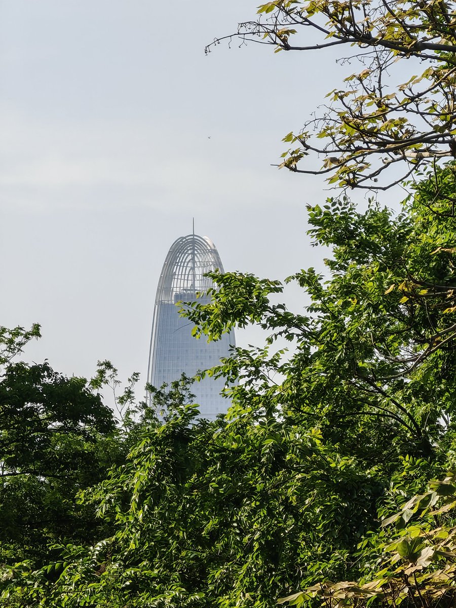 别再问在哪里了🫡