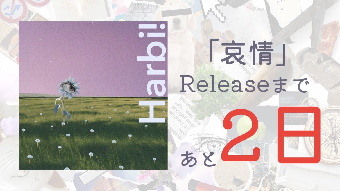 【Release】

「哀情」

2025.4.25 Release！🪻🪻