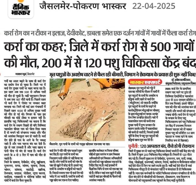 कभी लंपी से तो कभी कर्रा से, राजस्थान में पशुधन मर रहा है और 
 <a href="/BhajanlalBjp/">Bhajanlal Sharma</a>  सरकार सो रही है!!
पशुपालन विभाग में पशुचिकित्सा अधिकारी के 60%पद रिक्त है, पिछले 7वर्ष से पशु चिकित्सा अधिकारी की भर्ती नहीं हुई है! 
<a href="/JoraramKumawat/">Joraram Kumawat</a> <a href="/RavindraBhati__/">Ravindra Singh Bhati</a>  <a href="/GovindDotasra/">Govind Singh Dotasra</a> <a href="/hanumanbeniwal/">HANUMAN BENIWAL</a>