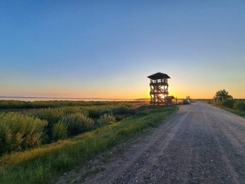 ⏰Vēl līdz 29. aprīlim iespējams pieteikties putnu vērošanas diennakts sacensībām #TorņuCīņas2025: tornucinas.lv/putnu-v-rot-ju… #putnuvērošana #torņucīņas