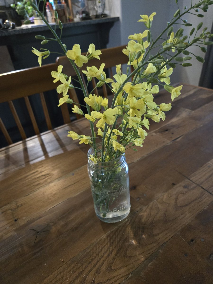 NillaLace's tweet image. Good morning, Happy Wednesday! When your flower garden hasn't bloomed but your Brussel Sprouts and broccoli have gone to seed, there are options . Be kind, give grace, have gratitude, be safe out there, and Go Vols 🧡 🍊