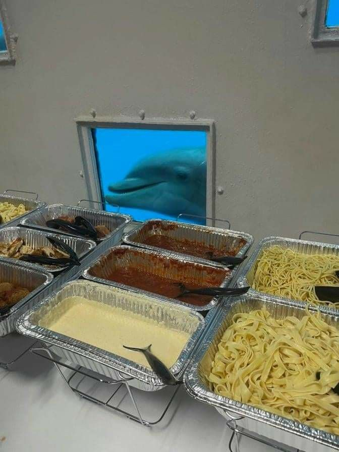 𝖈𝖍𝖆𝖇𝖆𝖟𝖎𝖙𝖊 tweet media