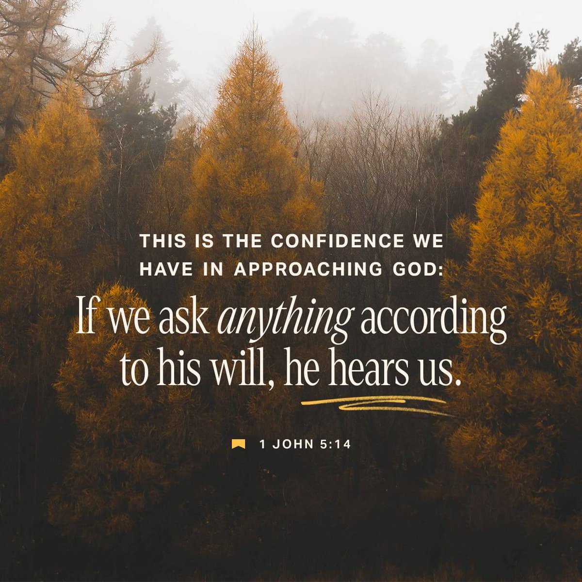 bible.com/verse-of-the-d…
