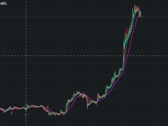 birbcs's tweet image. thank you market makers :)