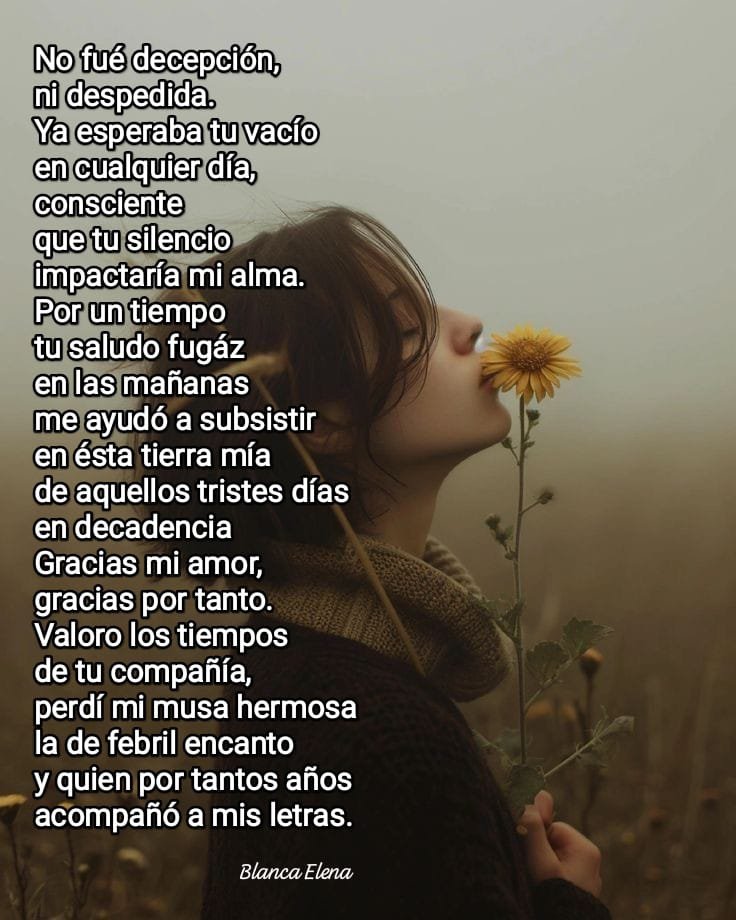 Blanca Elena🌹 (@blancarojaz) on Twitter photo 