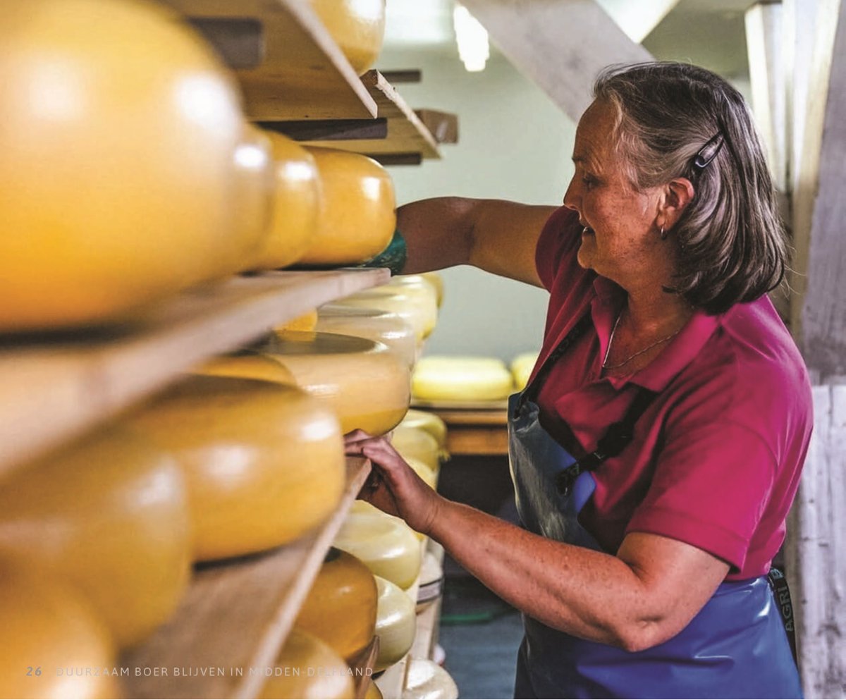 DelflandMidden's tweet image. 1. Direct van ‘t boerenerf: #vers en #lekker. #Zuivelboerderij van Winden in Schipluiden maakt #boerenkaas en #boerenzuivel voor trouwe klantenkring #DuurzaamBoerBlijven magazine 2024 middenindelfland.net/inspiratie-det…