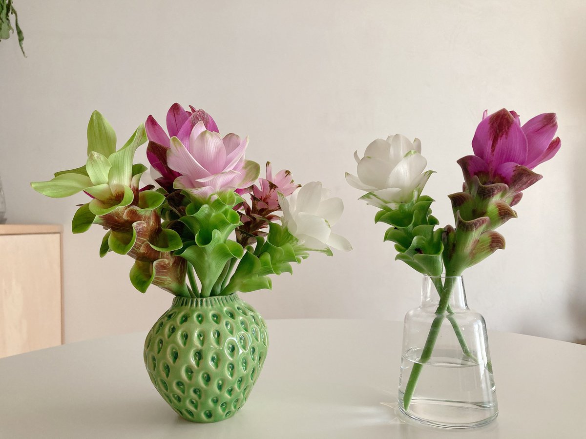 お花のある暮らし、始めてみませんか？🌿

通販サービス【FLOWER】のブーケが
＼ クーポンコード【A2KX】で10％OFF！／

ボリュームたっぷりなのにお手頃価格✨
自宅用にもギフトにもおすすめです🧡

👉 flowr.is/collections
#FLOWER #お花のある暮らし