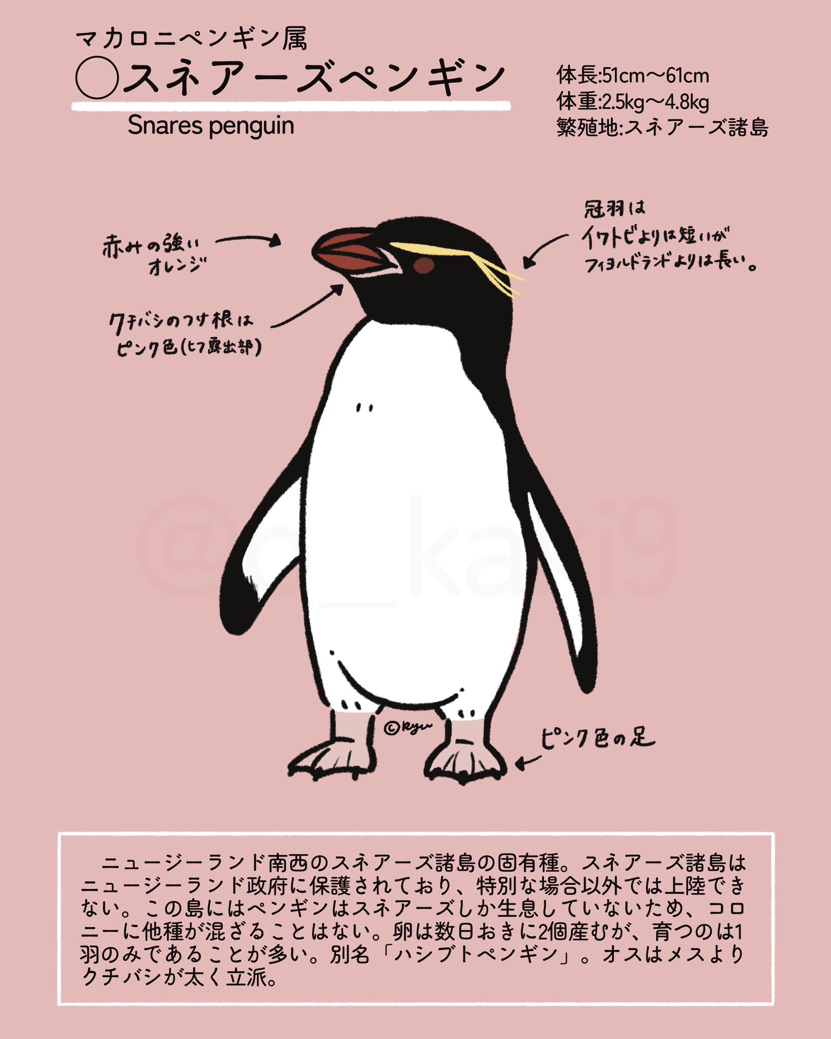 シュレーターペンギン - Search / X