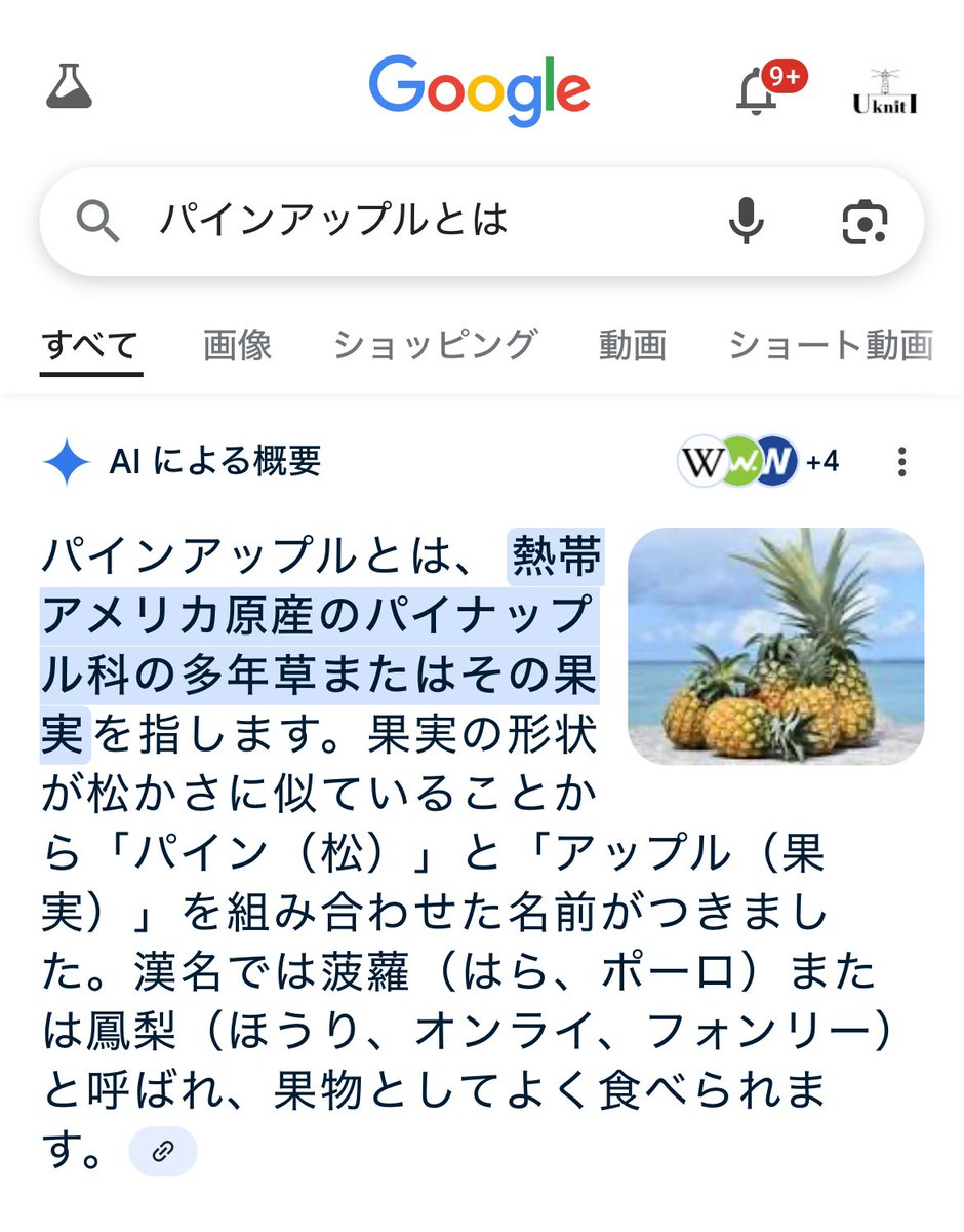EbcSpoon's tweet photo. @yourispoon 俺もパインて言うならフルーツの方を想像したよ
調べたらこういう事らしい https://t.co/h9wcJolZPD