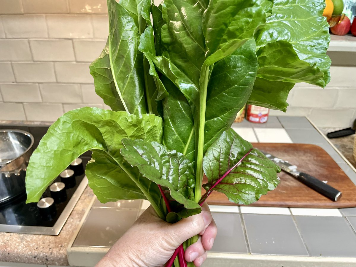 Money doesn’t grow on trees, so we work long hours to put food on the table. 

But food does grow on trees. 

Tell a friend.