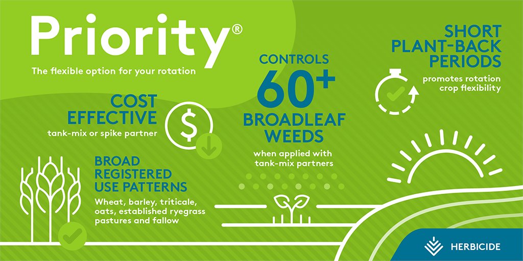 Broad spectrum Priority® herbicide for winter cereals: The flexible option for your rotation.

Click the link to find out more: bit.ly/42LfWvD

#Priority #ADAMA