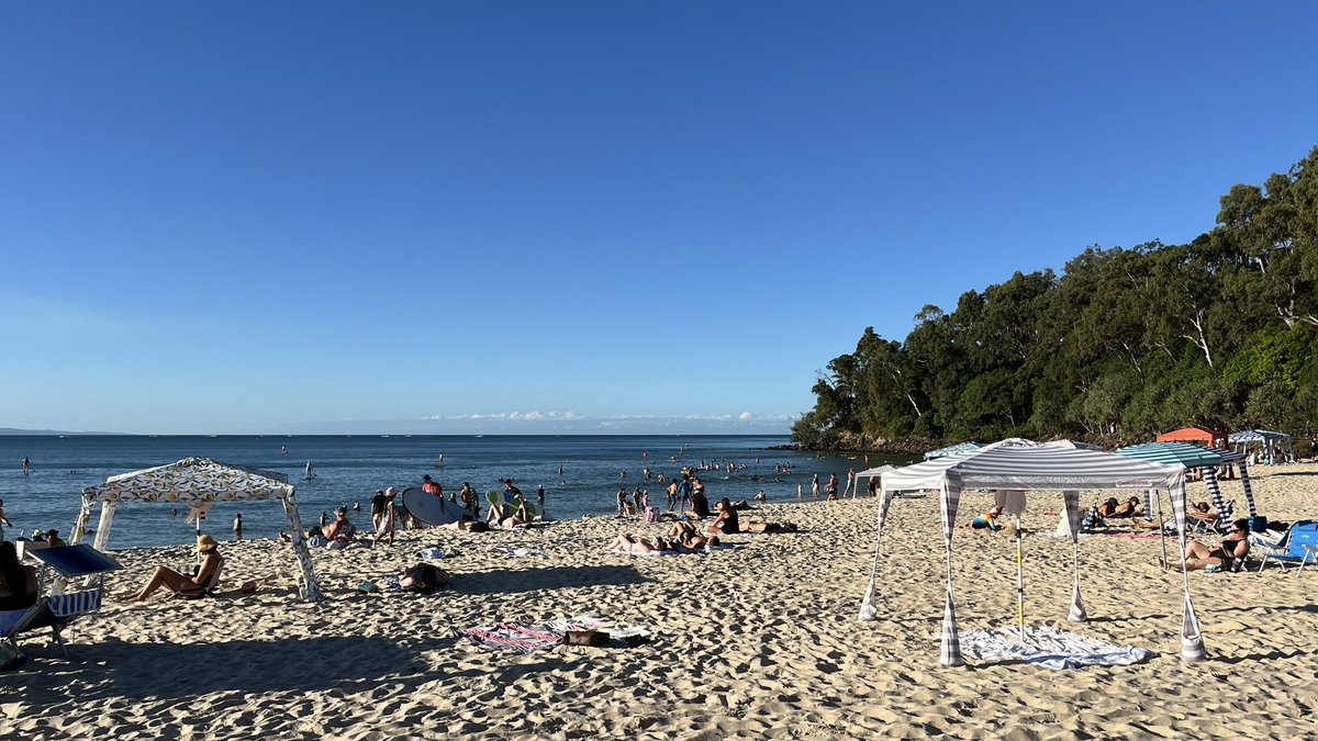 robbosal's tweet image. Wednesday: Another swim-friendly Noosa arvo #flatas #bondilaps