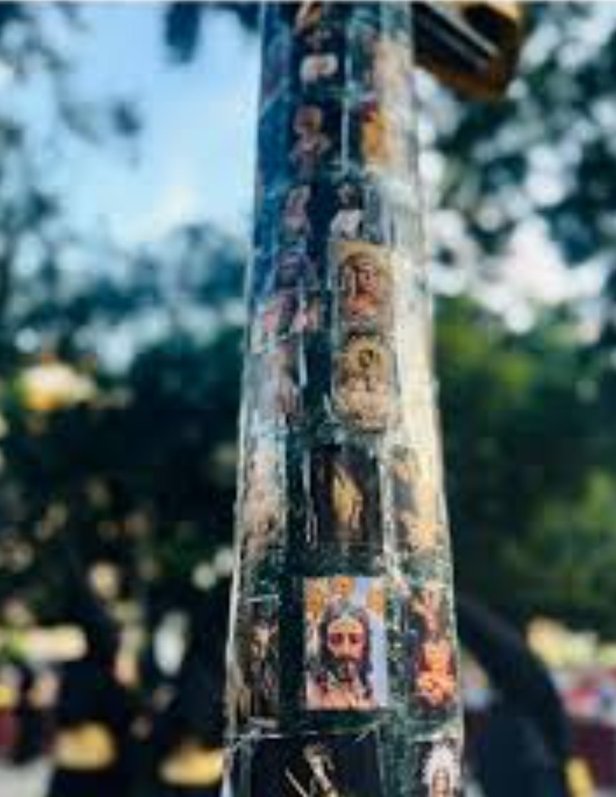 María José tweet media