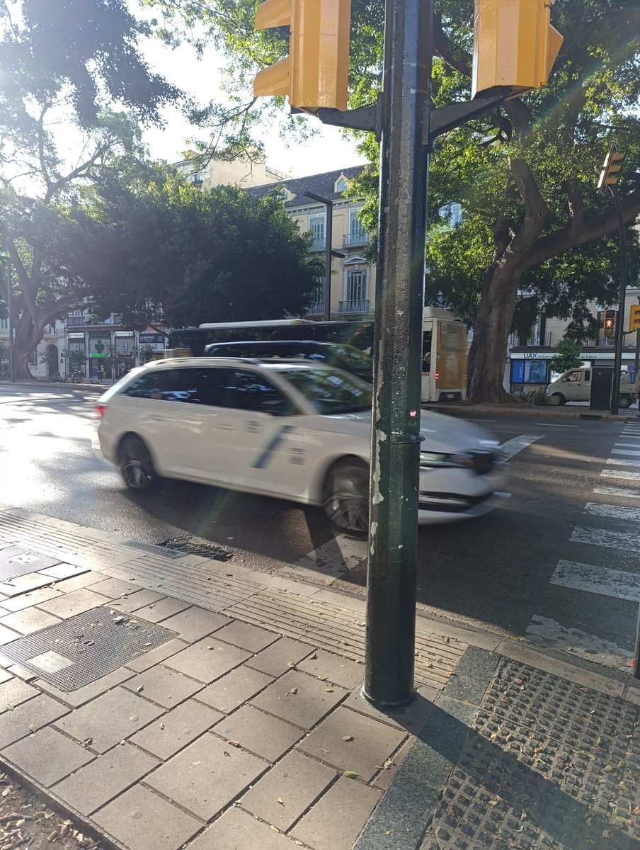 María José tweet media