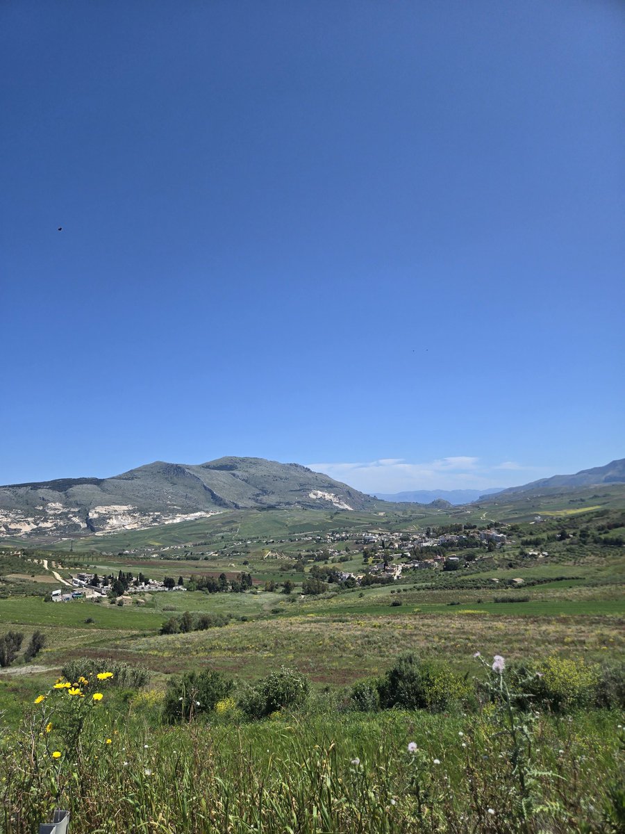 Sicilian Life