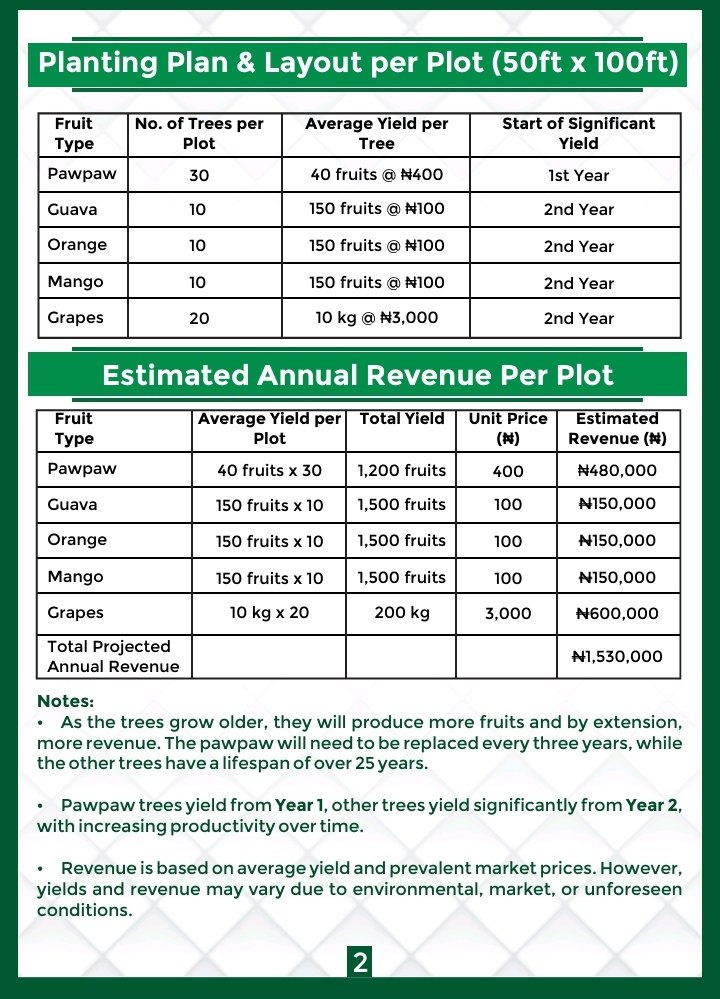 FruitTreesNg's tweet photo. Own a Part of A Fruit Trees Plantation Estate &amp; Start Earning From Year 1!

@FruitTreesNg is selling 500 plots (50 x100 ft) in its proposed Fruit Plantation Estate in Millennium City-Chikun LGA, Kaduna State

A fruit trees plantation on just 1 plot can generate over ₦1.4M yearly https://t.co/yQkprMsroC