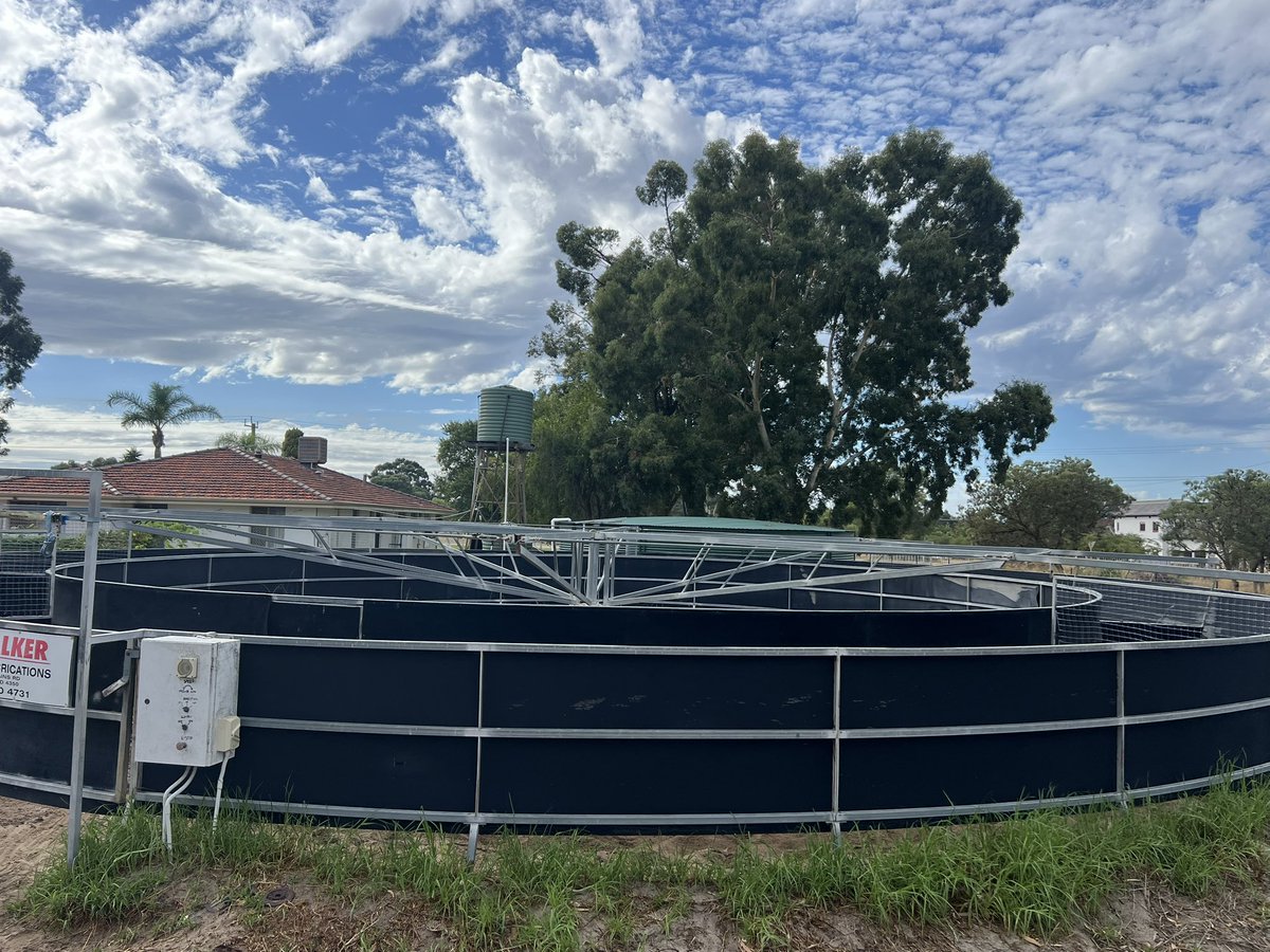 Easthope Racing tweet media