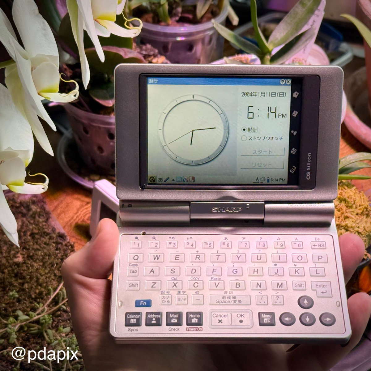 Dmitry Nastich-Usov tweet media