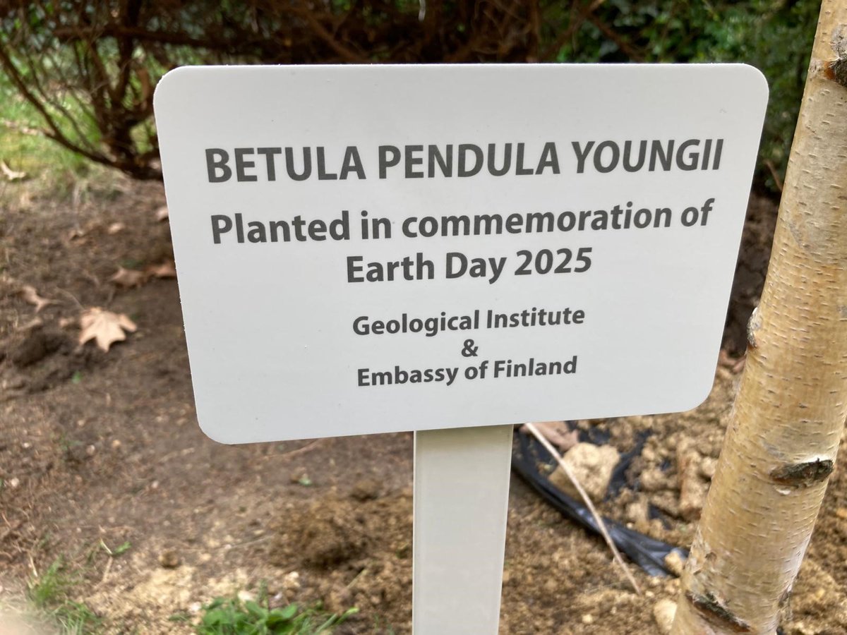 🌍🌳Earth Day at the Bulgarian Academy of Sciences with a discussion with Jari Joutsenvaara, University of Oulu, Horizon Europe AGEMERA project coordinator, and planting a Finnish birch - the national tree of Finland, in the BAS inner courtyard by Ambassador Pohjankukka.