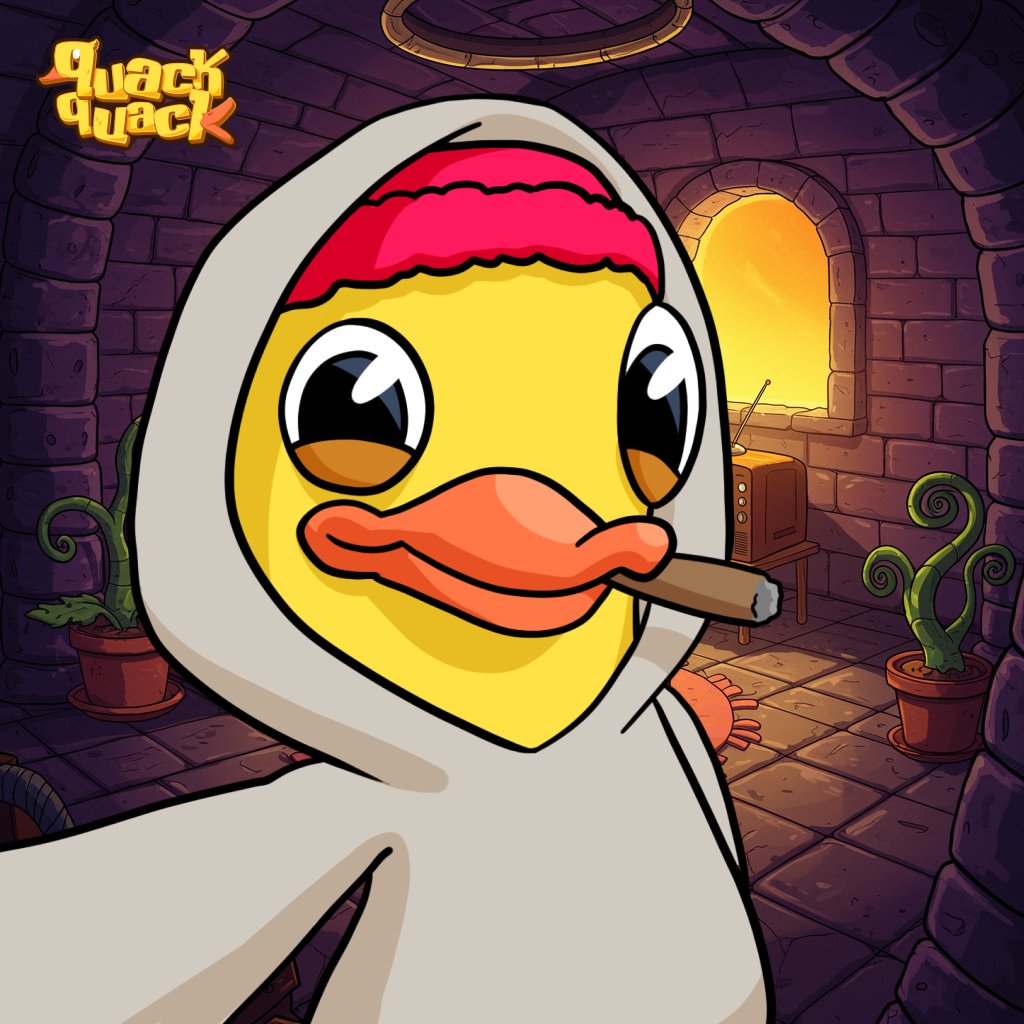 QuackQuack tweet media