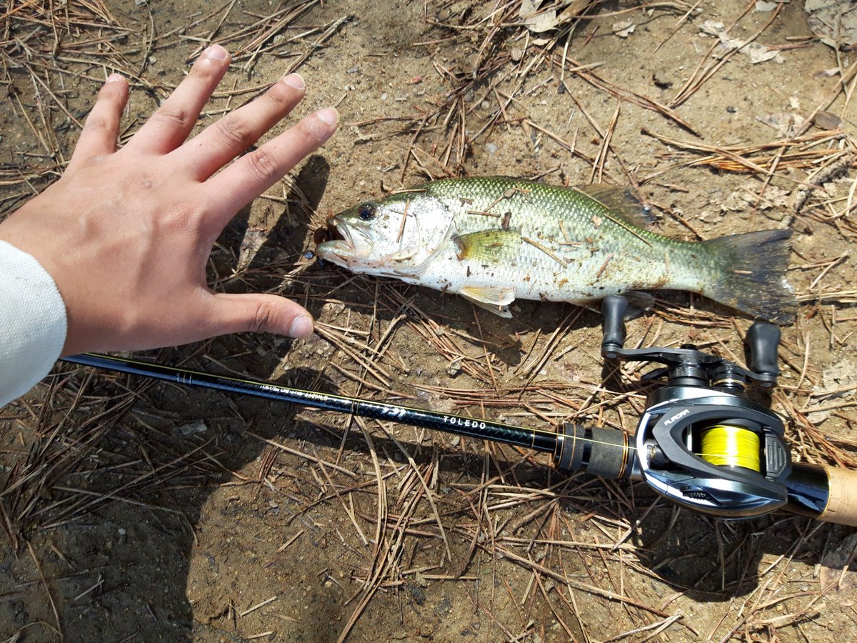 DiceFishingtv's tweet photo. 誕生日に釣り行ってめちゃ釣った https://t.co/oJ1kIipt47