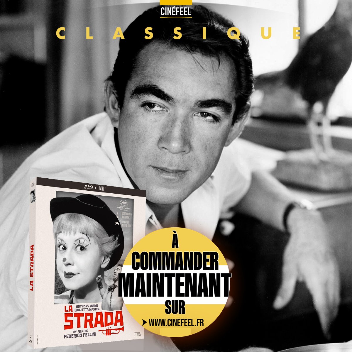 Arcades_DVD's tweet photo. #Précommande #Classique – LA STRADA 🔵 

Le chef-d’œuvre intemporel de Fellini débarque dans une magnifique nouvelle édition signée Rimini. 

Un film inédit en Blu-ray ! Ne passez pas à côté de cette édition restaurée 4K Blu-ray + Blu-ray bonus + Livret.  ⚠️ Édition limitée ! https://t.co/4jieVOB4uU