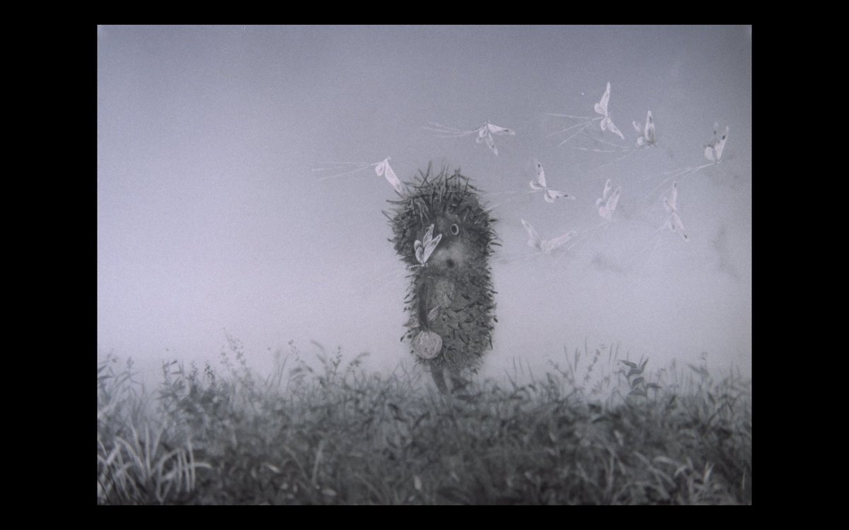 Les enfants du drive tweet media