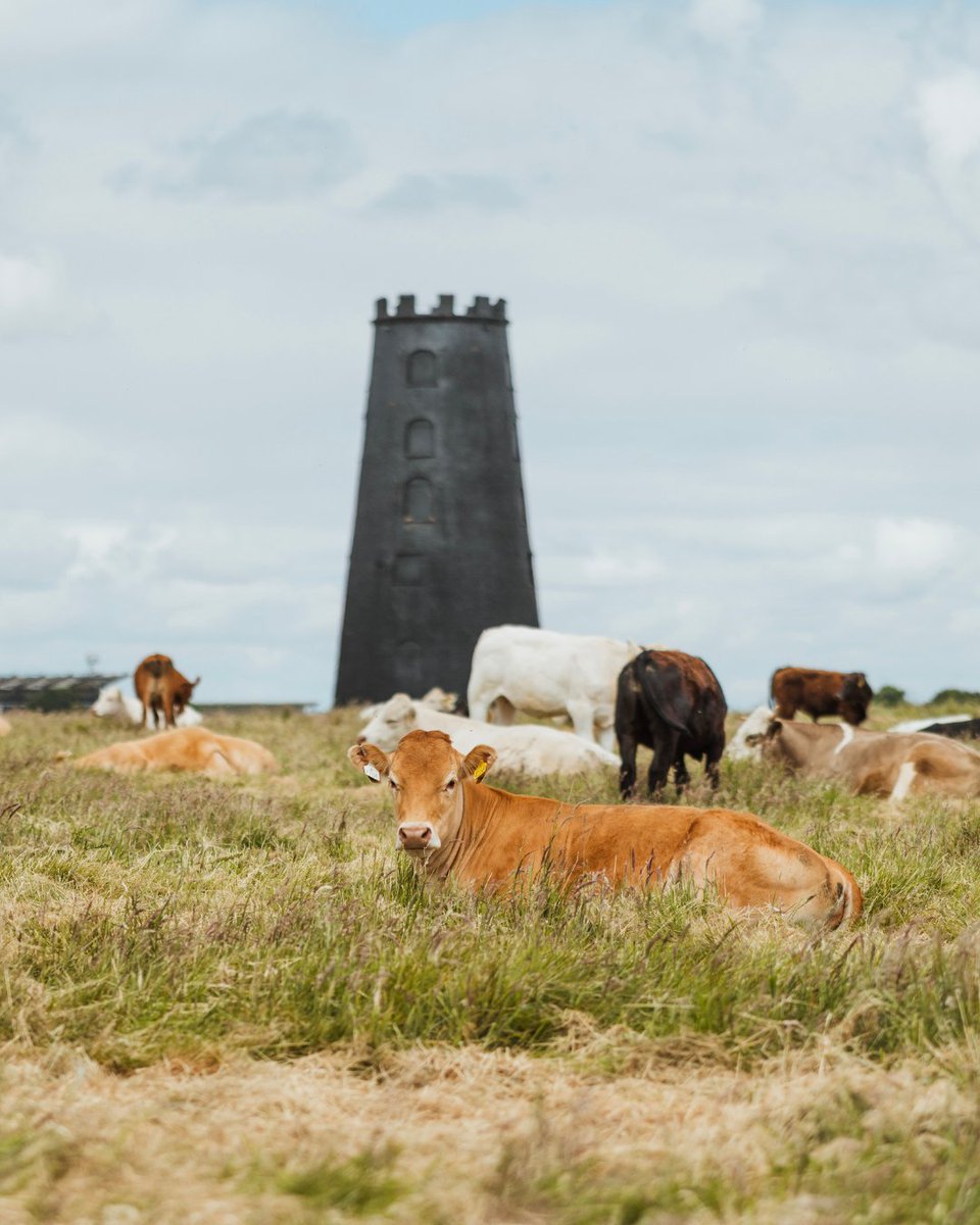 Visit Beverley tweet media