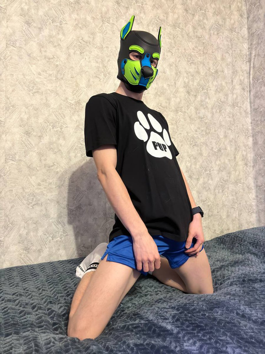 pup_Neit's tweet photo. #pupppy #puppyplay #PuppyPlayCommunity #gay #sox https://t.co/8VFFvfwH1N