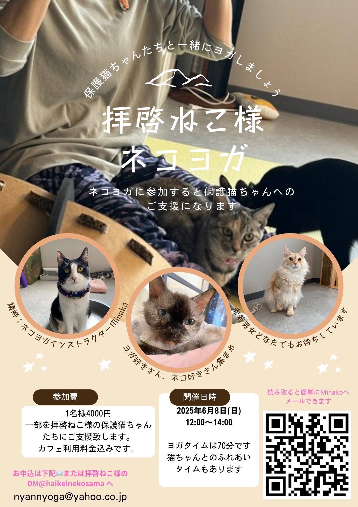 もりのねこさん　お店型什器 　計３点　（イベント什器　ハンドメイド） ネコ好き集まれ! もりのねこさん様専用 お店型什器 計3点 （