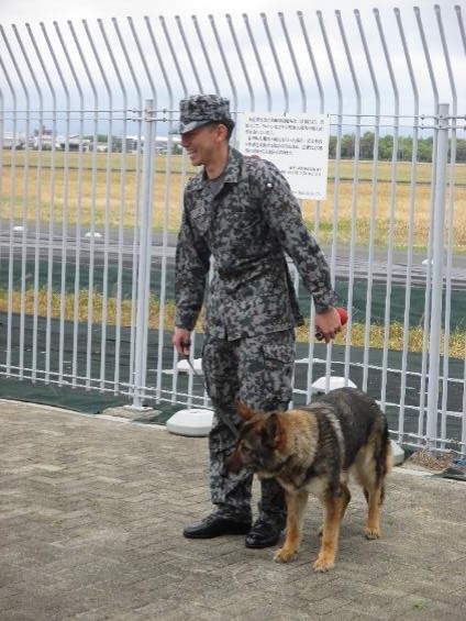 jasdf_airpark's tweet image. 令和7年4月20日(日)に開催した警備犬の訓練展示イベントに多数の参加ありがとうございました。ハンドラーと警備犬ルピア号の訓練展示はいかがだったでしょうか。沢山の笑顔と拍手をもらって警備小隊もうれしく思いました。
#航空自衛隊
#浜松広報館
#エアーパーク