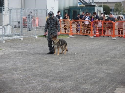 jasdf_airpark's tweet image. 令和7年4月20日(日)に開催した警備犬の訓練展示イベントに多数の参加ありがとうございました。ハンドラーと警備犬ルピア号の訓練展示はいかがだったでしょうか。沢山の笑顔と拍手をもらって警備小隊もうれしく思いました。
#航空自衛隊
#浜松広報館
#エアーパーク