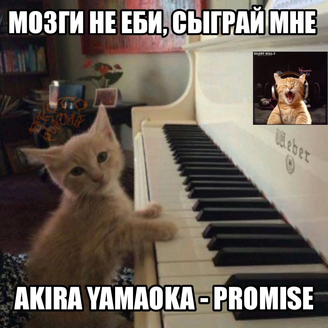 anonssobakoi's tweet photo. https://t.co/yMMVx8COFs