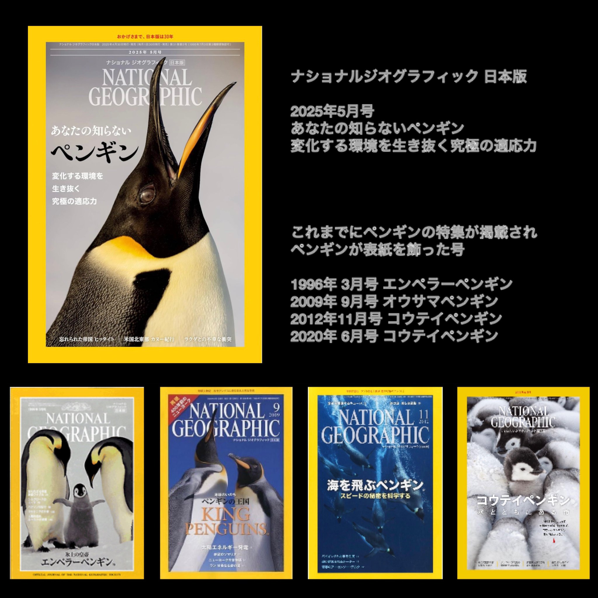 原画 ペン画 ペンギン 動物 モノクロ イラスト 絵手紙 ポスト
