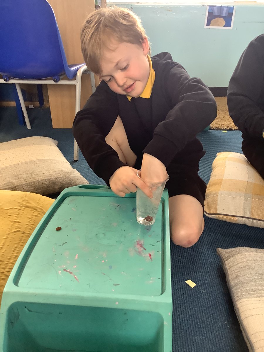 Primary4 tweet media