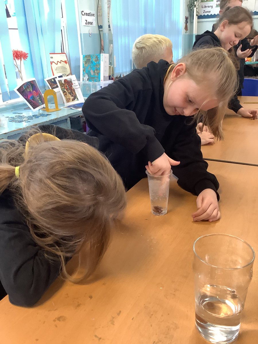 Primary4 tweet media