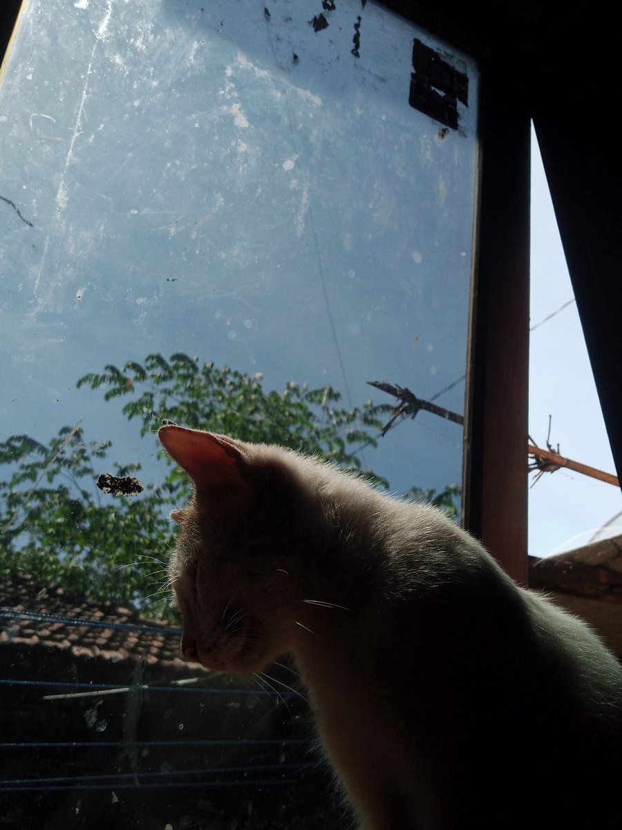 kadang kamera kek eek tapi kadang juga ya kaya eek